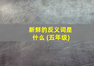 新鲜的反义词是什么 (五年级)